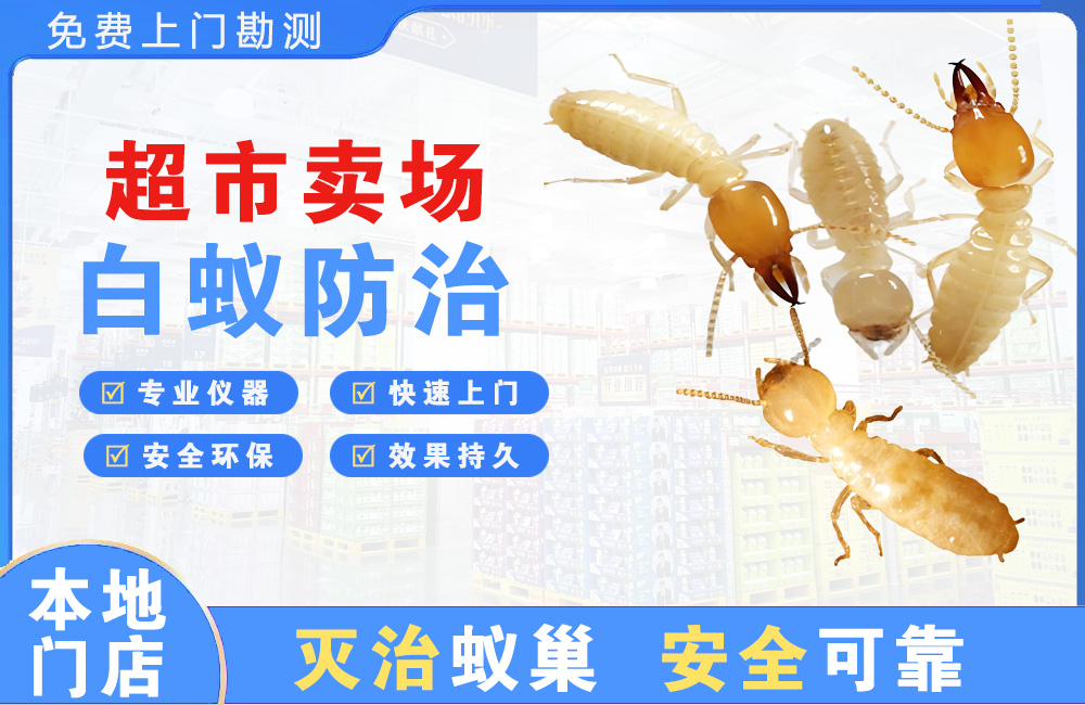泉州超市卖场白蚁防治