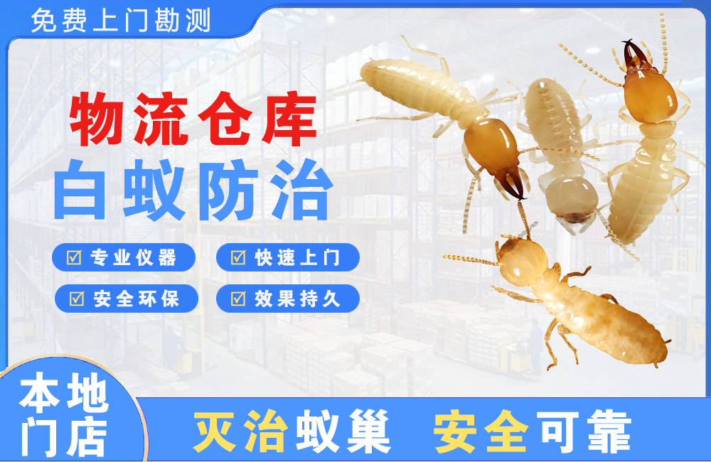 泉州物流仓库白蚁防治