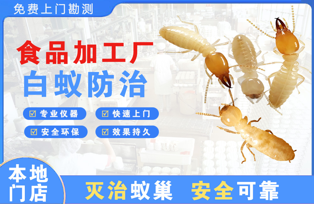泉州食品加工厂白蚁防治