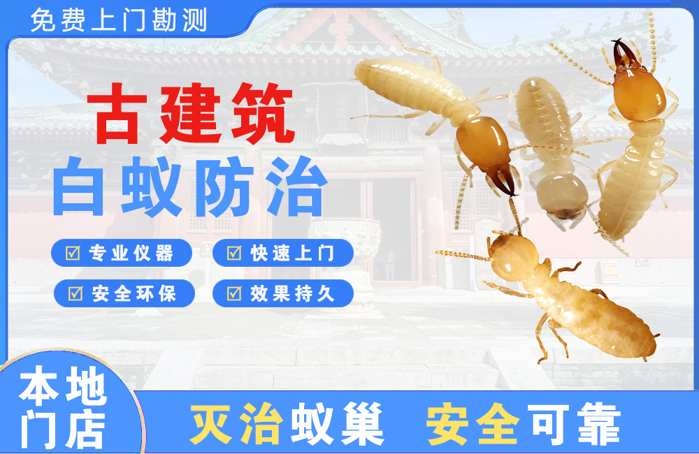 泉州古建筑白蚁防治