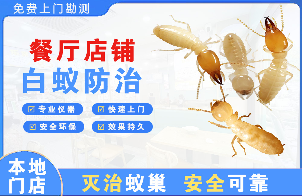 泉州餐厅店铺白蚁防治